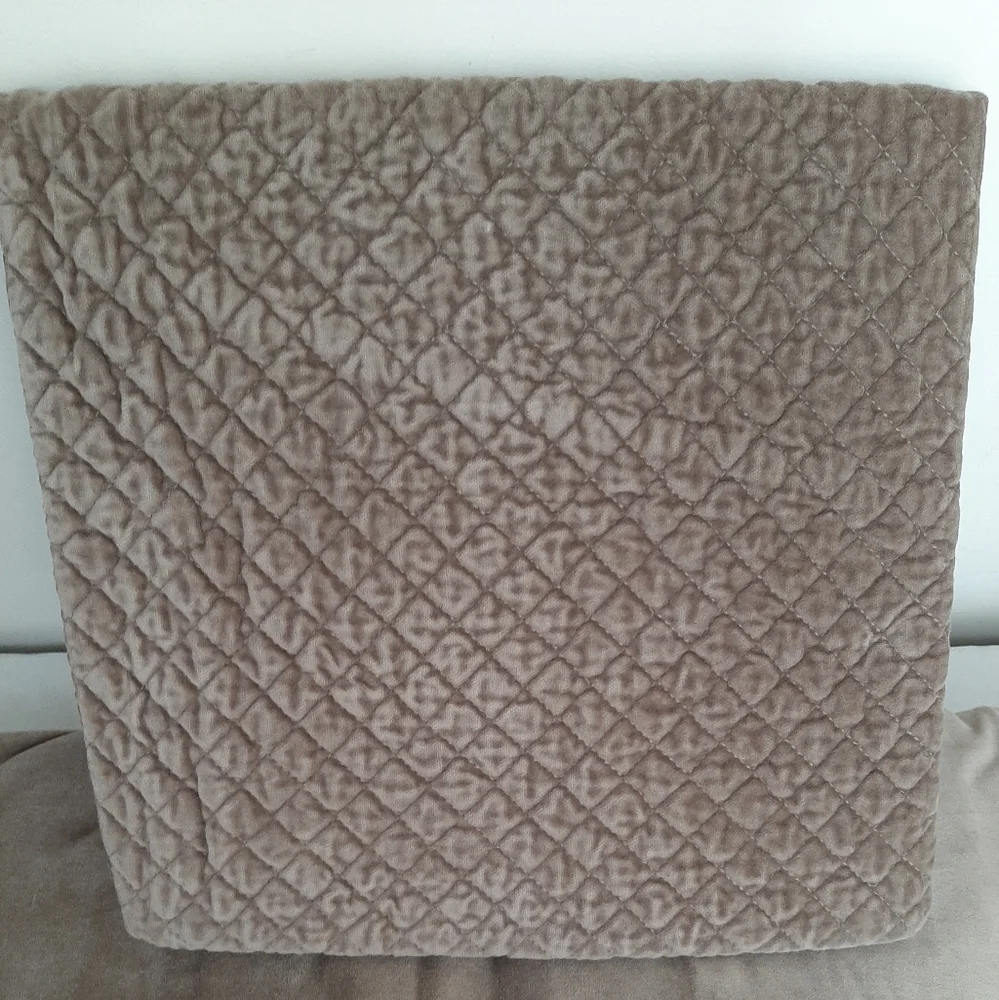 *Williams Sonoma Diamond Velvet Euro Shams